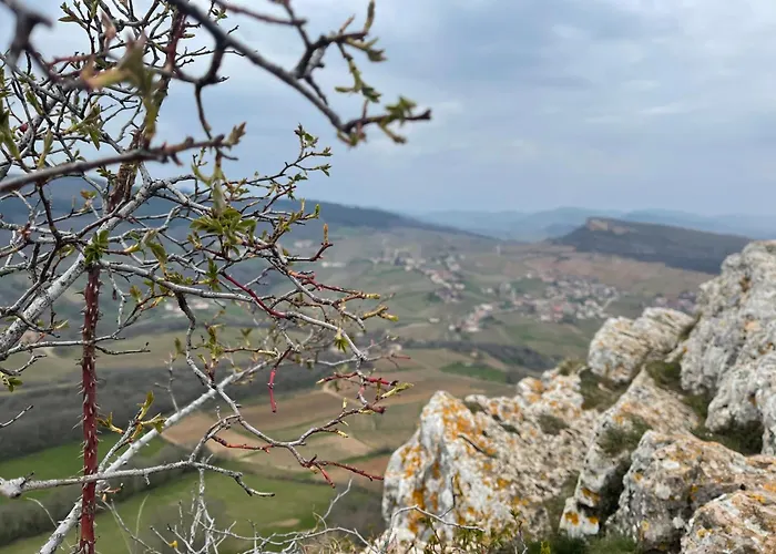 La Tablee Medievale